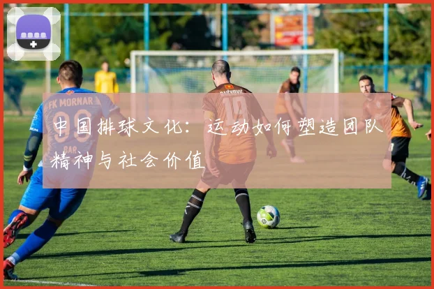 中国排球文化:运动如何塑造团队精神与社会价值
