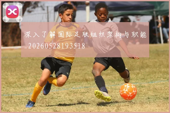 深入了解国际足联组织架构与职能_20260528193518