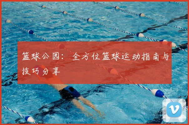 篮球公园:全方位篮球运动指南与技巧分享