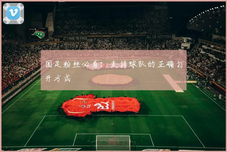 国足粉丝必看:支持球队的正确打开方式