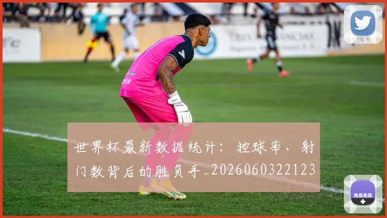 世界杯最新数据统计：控球率、射门数背后的胜负手_20260603221230